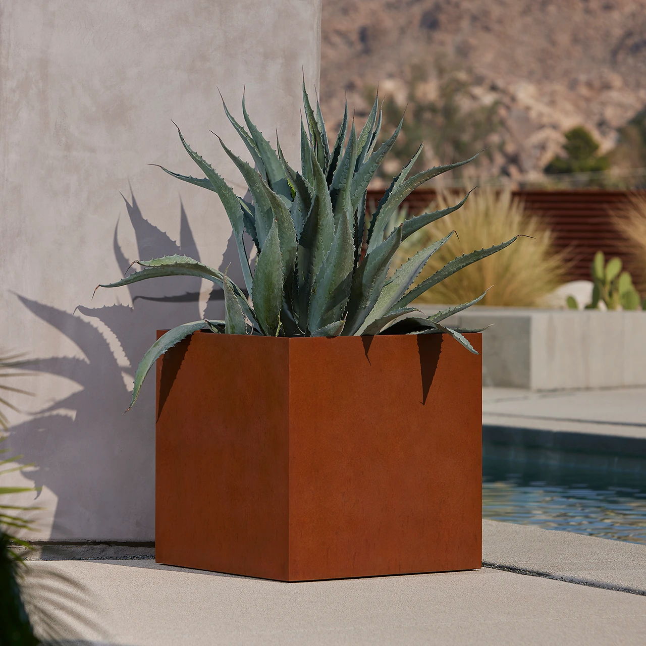Corten Steel square planter with succulents by a pool