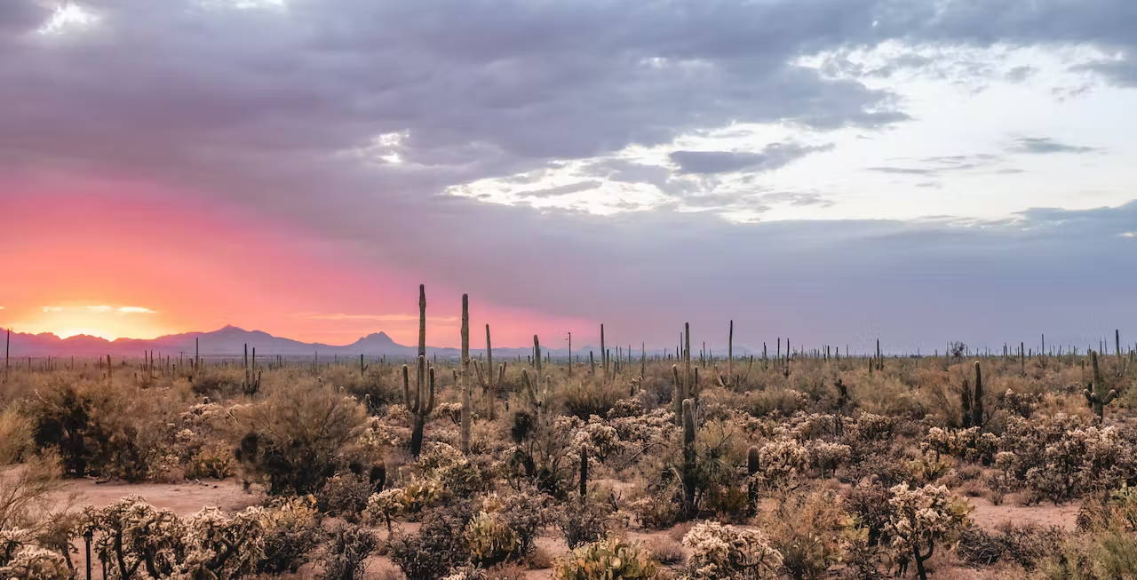 Sunset in the desert 