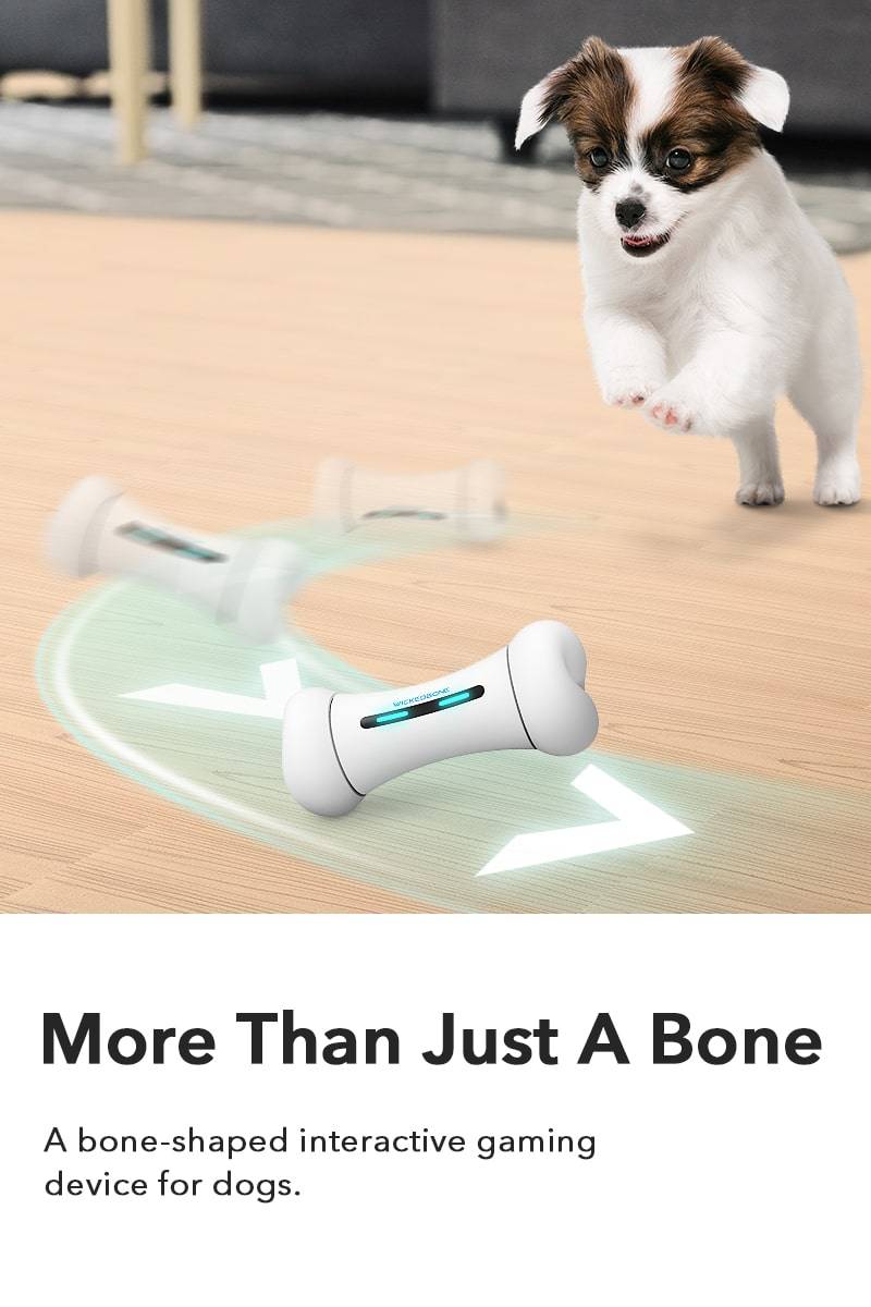 More Than Just A Bone