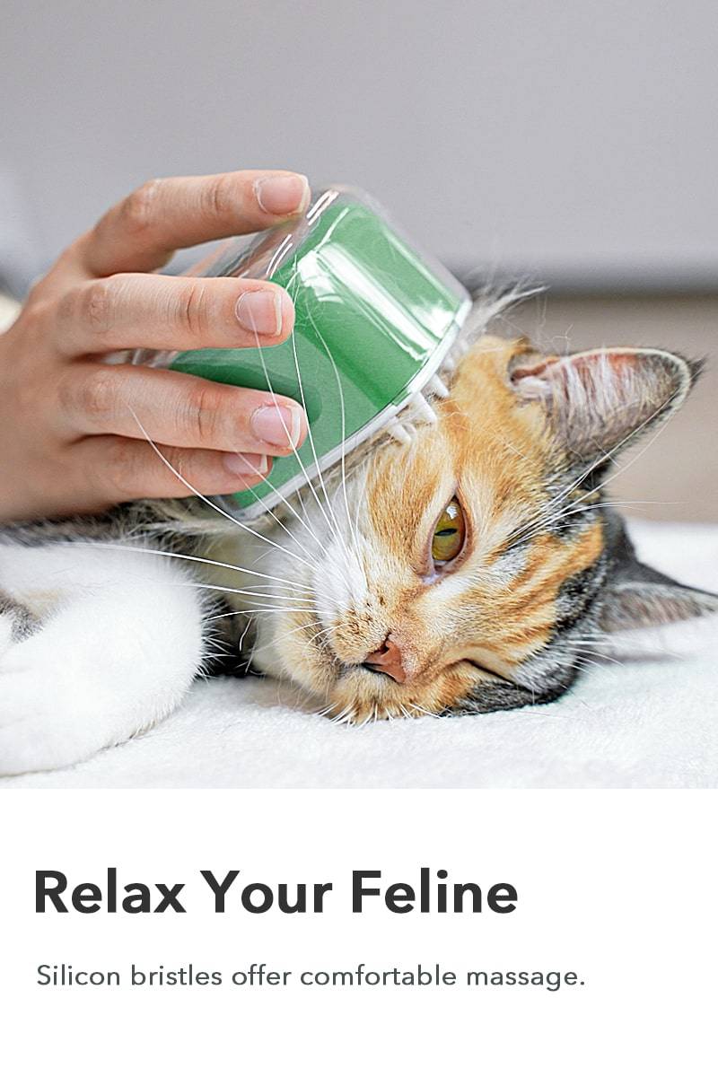 Relax Your Feline