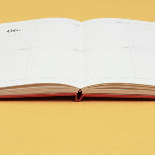 Opens flat - After The Rain 2020 Dot your day weekly dated diary planner