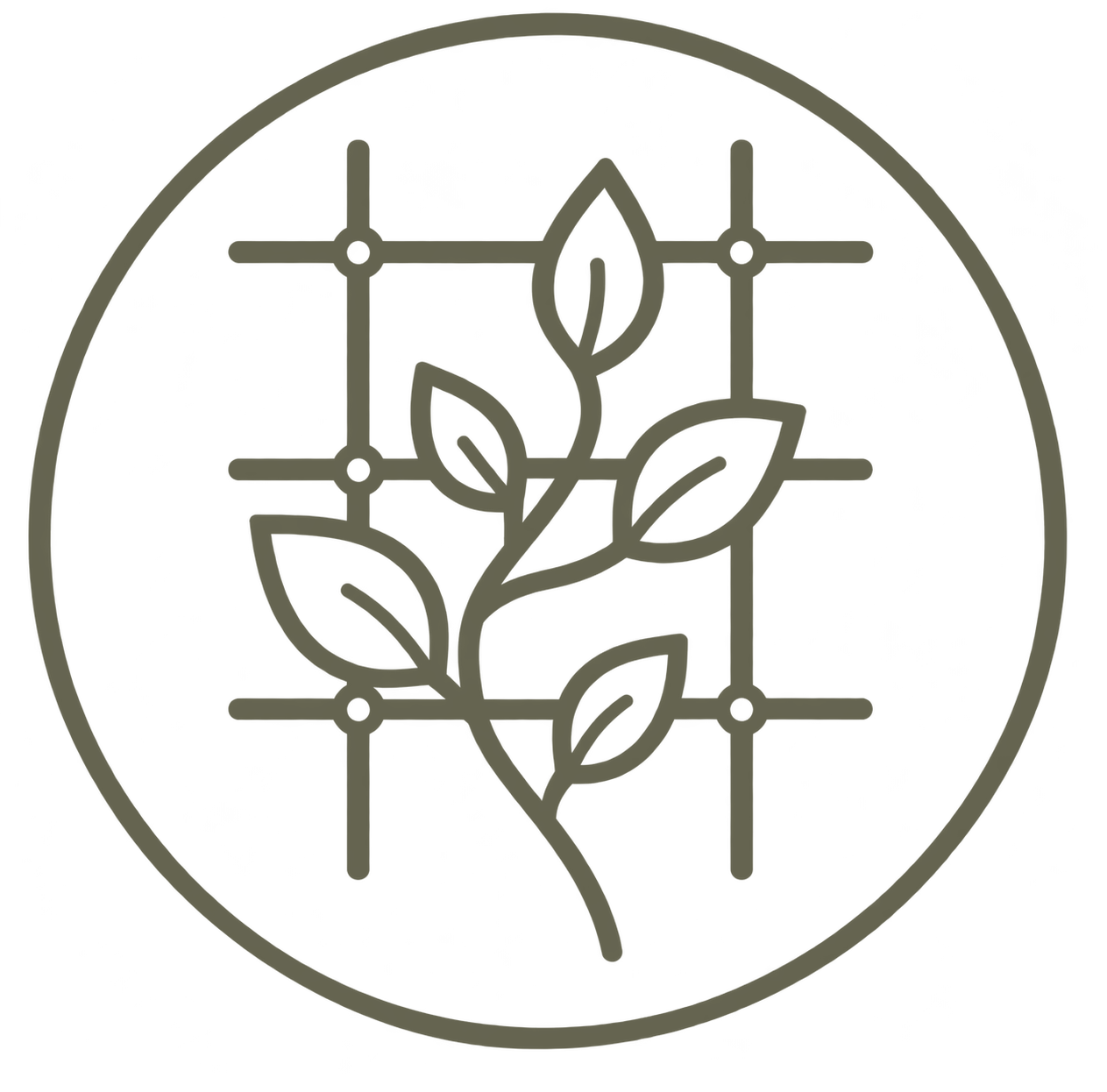 A minimalist illustration of a plant with leaves and a grid background.