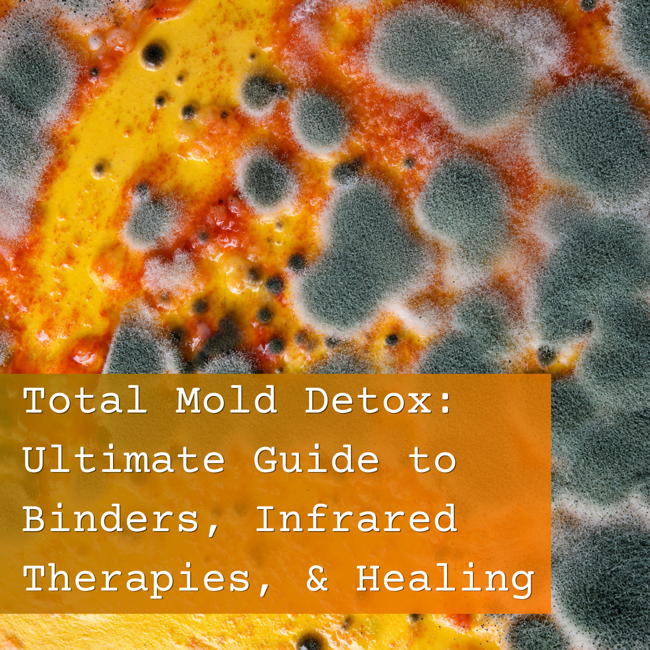 Image of mold with text about mold detox and therapies.