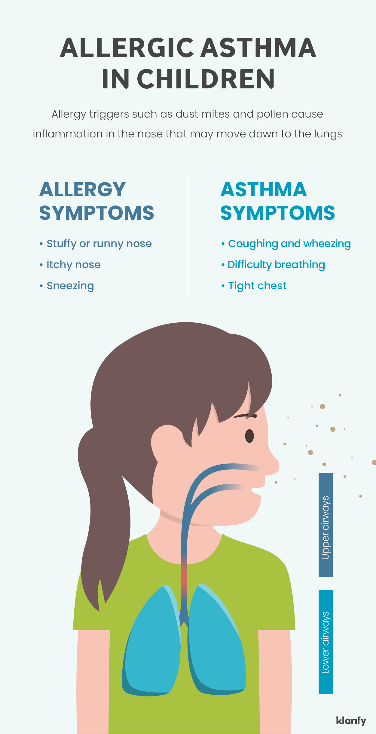 Infographic describing the possible connection between respiratory allergies and asthma. Details of the infographic listed below