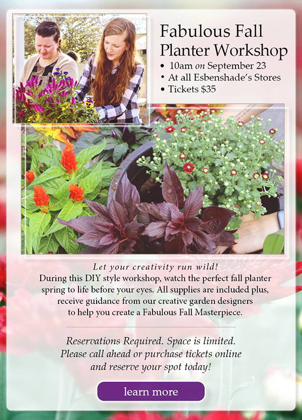 Fabulous Fall Planter Workshop - 10am on Saturday, September 23 at all 3 stores. Tickets: $35 | Let your creativity run wild! During this DIY style workshop, watch the perfect fall planter spring to life before your eyes. All supplies are included plus, receive guidance from our creative garden designers to help you create a Fabulous Fall Masterpiece. | Reservations Required. Space is limited. Please call ahead or purchase tickets online and reserve your spot today! | click to learn more and buy tickets