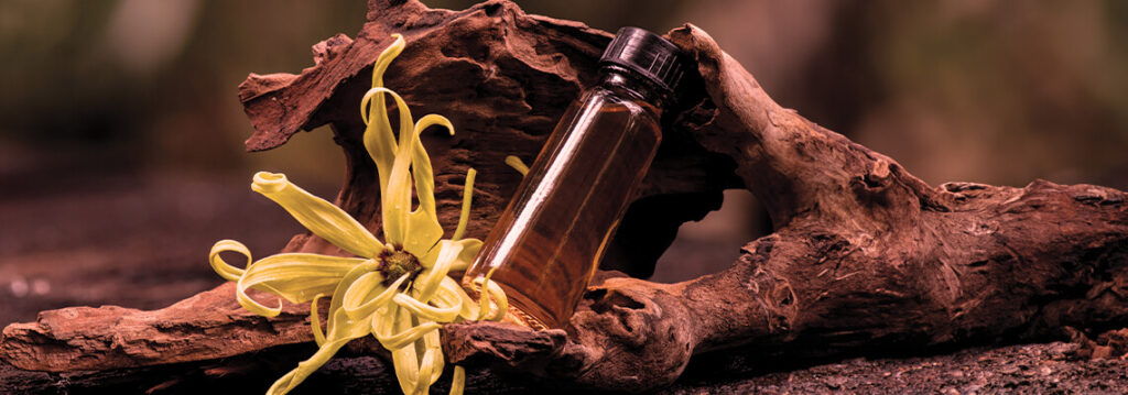 A glass vial on a wooden surface beside a yellow flower.