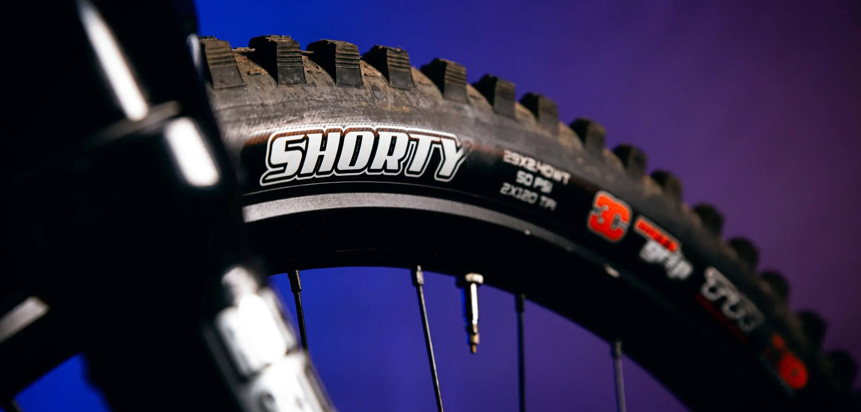Maxxis Shorty mountain bike tire on a colored background