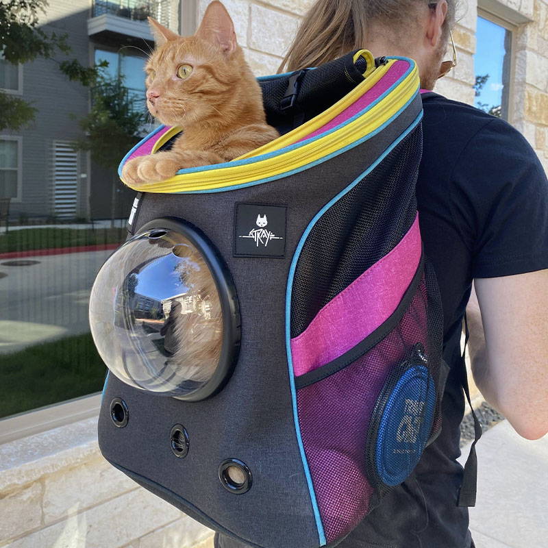 travel cat backpack australia
