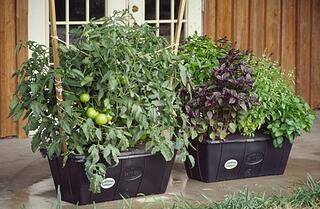 First generation EarthBox growing systems