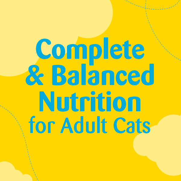 Complete & Balanced Nutrition for Adult Cats