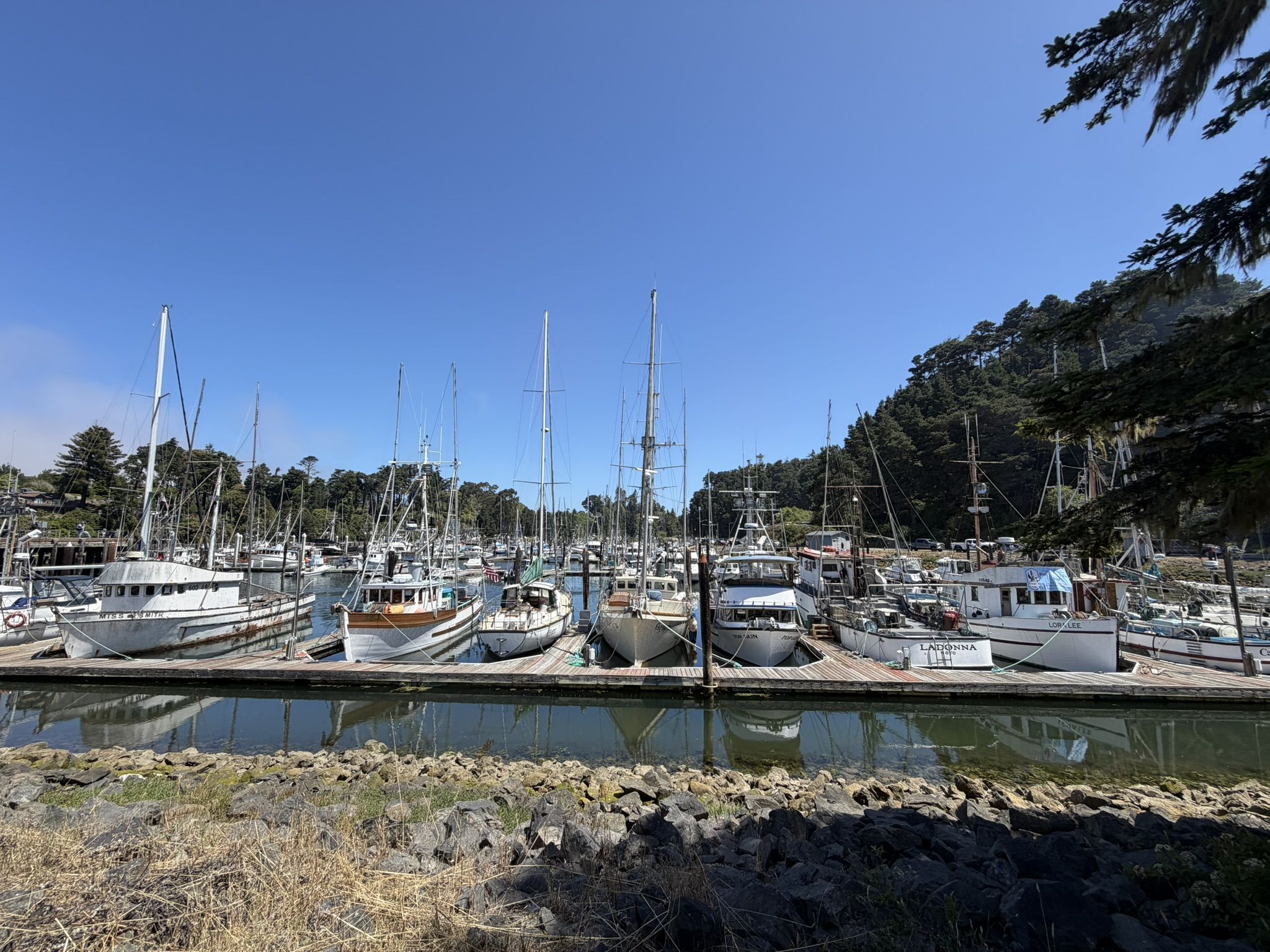 Noyo Harbor