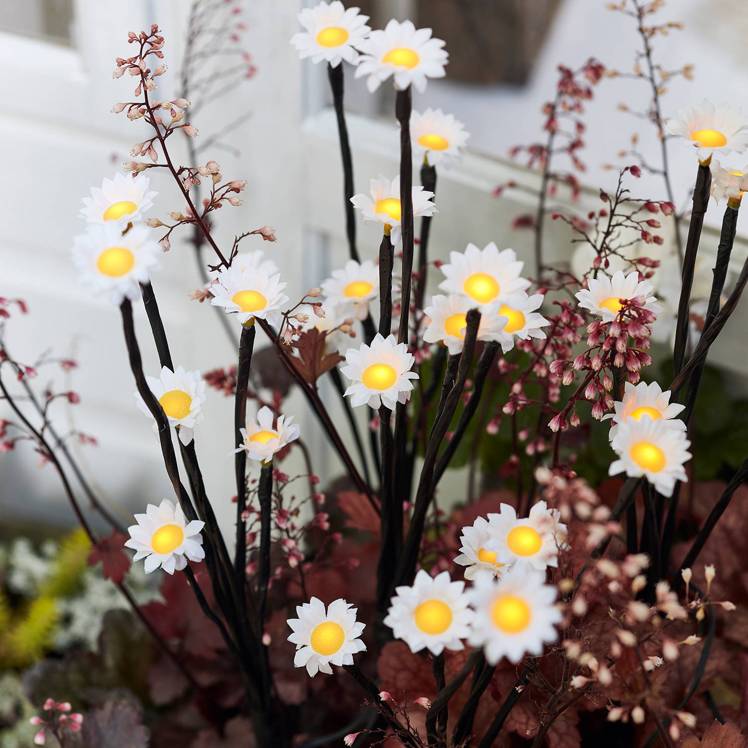 Daisy stake lights illuminated within plants in the garden