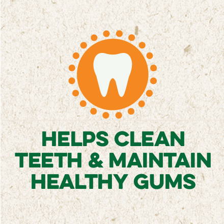 Clean Teeth, Healthy Gums