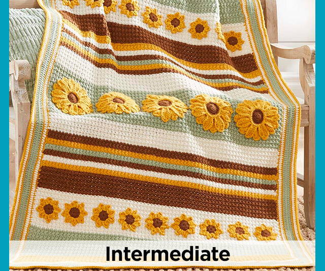 Intermediate Knit & Crochet Kits