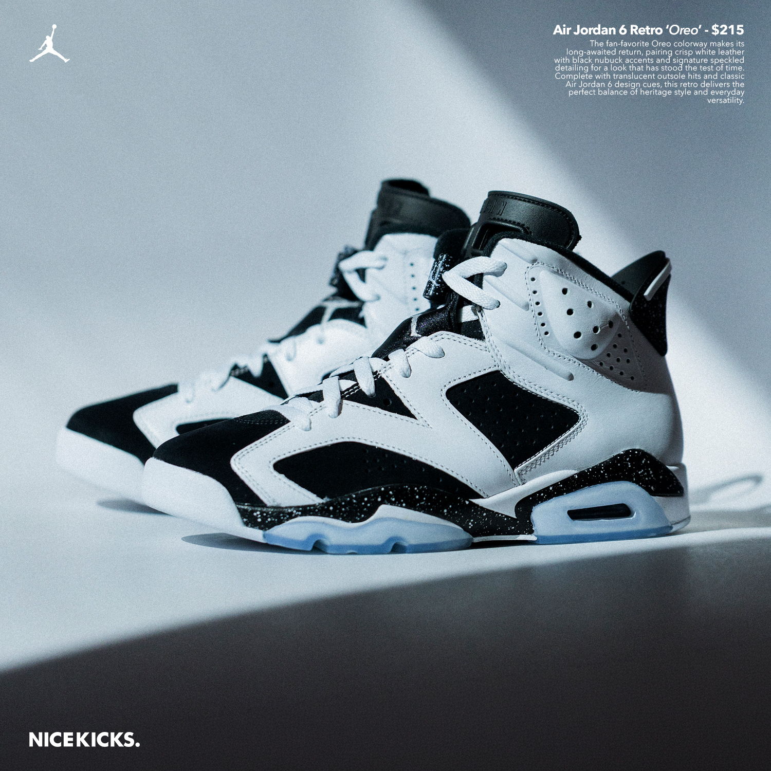A pair of Air Jordan 6 sneakers in black and white.