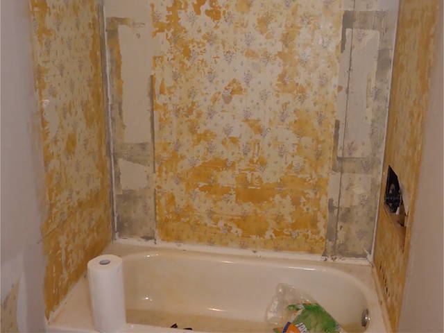 Prepare your shower: Remove greenboard sheetrock, inspect for mold, treat with mold removal spray. 