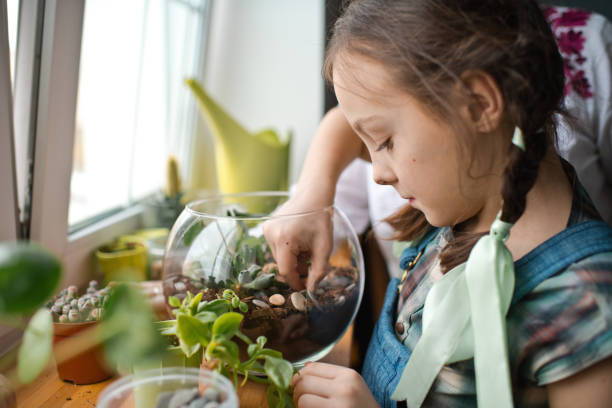 Family making terrarium at home