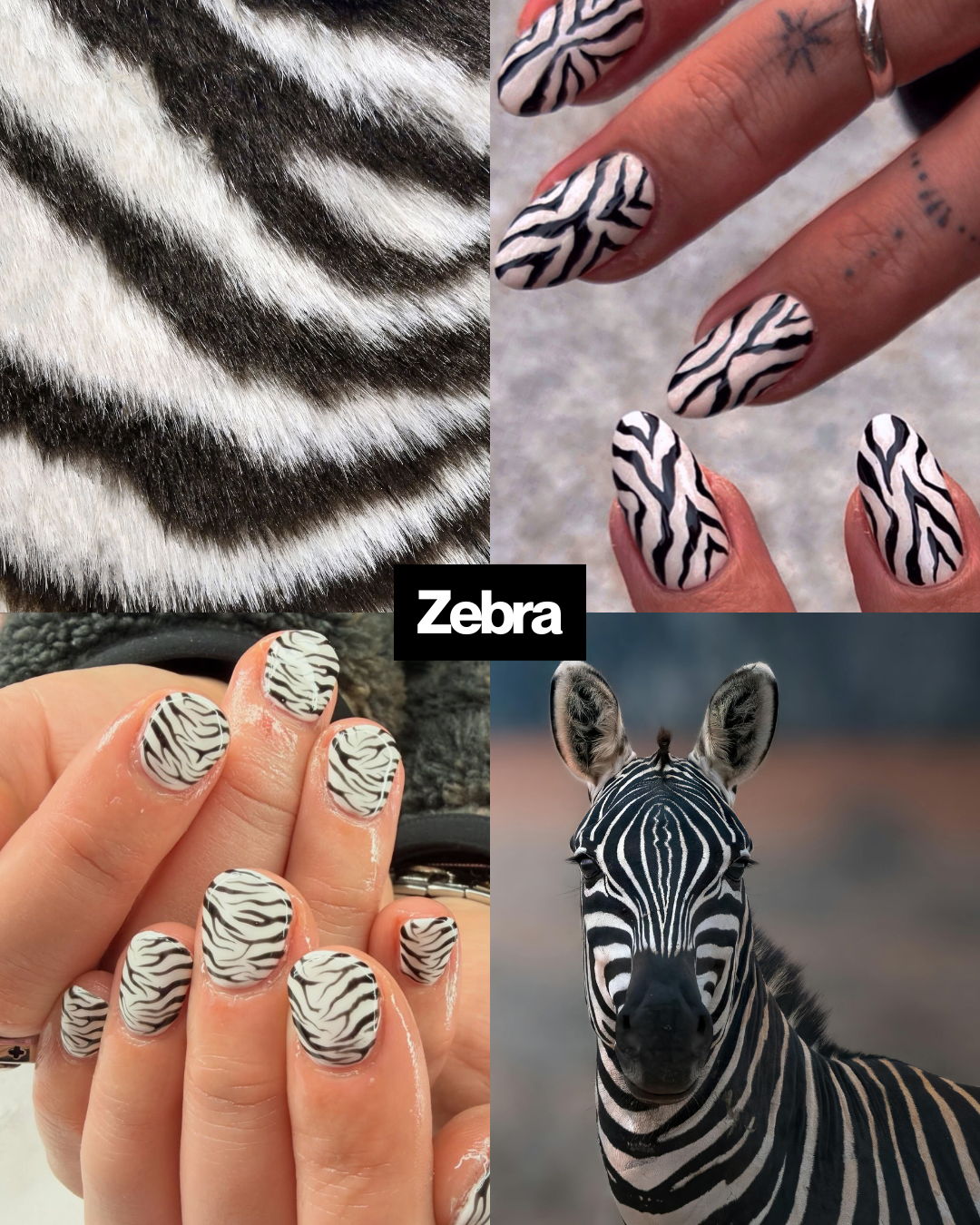 Zebra print nails mood board