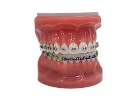 Amtouch Dental Supply offers orthodontic supplies such as ligature ties, bonding, ortho instruments, retainer cases & more.
