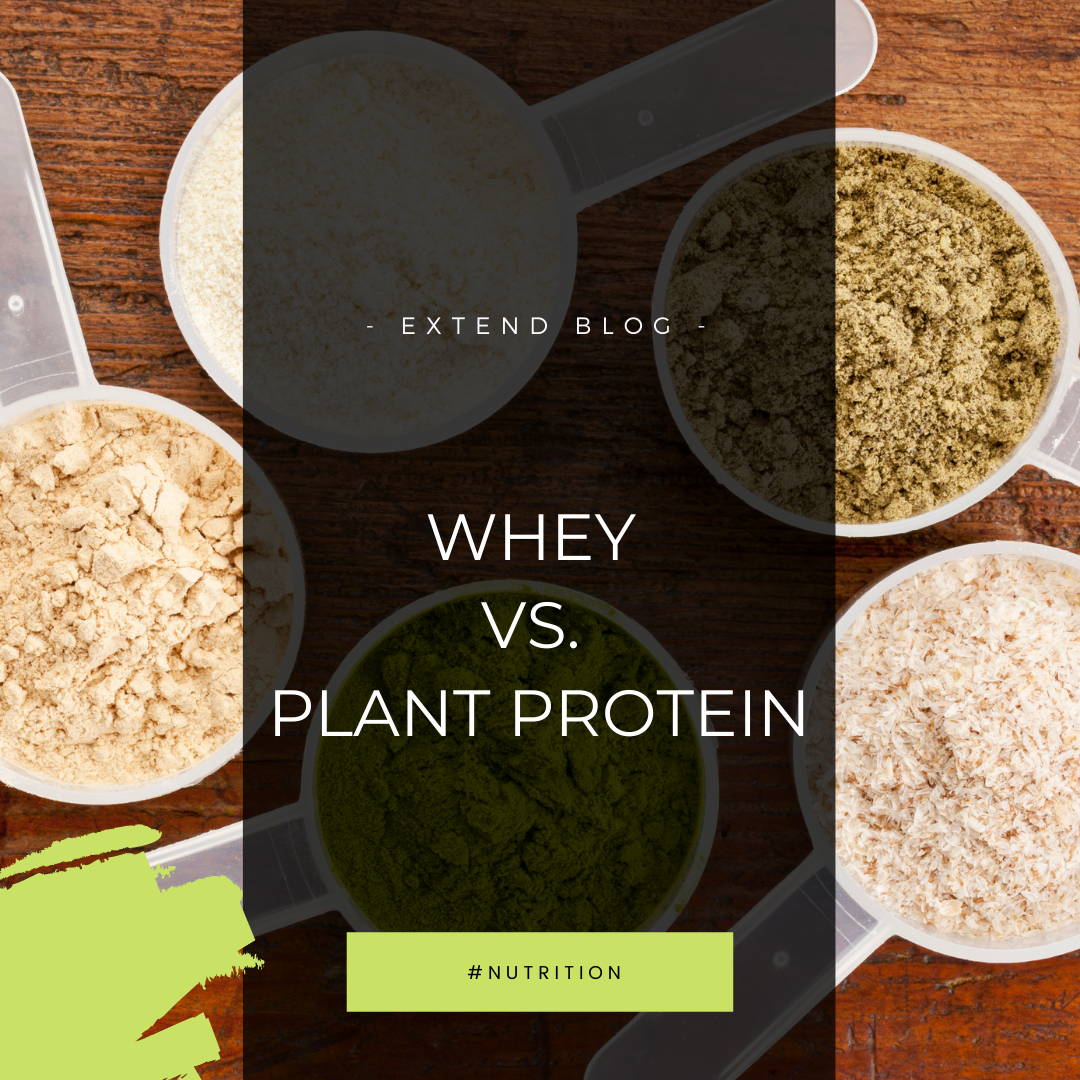 EXTEND BLOG: WHEY VS. PLANT PROTEIN