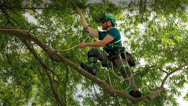 PRODUCT CERTIFICATION FOR ARBORIST GEAR: WHAT IT IS, WHY IT MATTERS