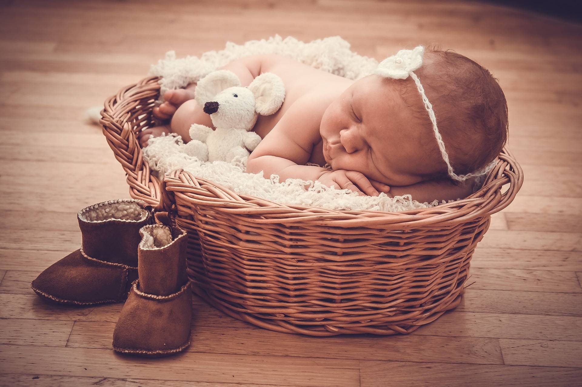 newborn posing basket