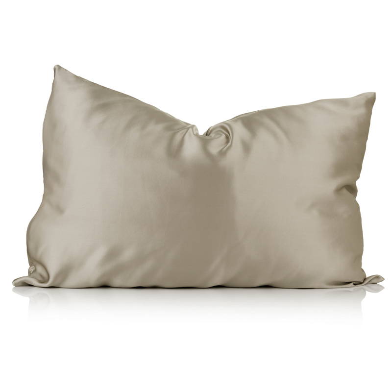 a taupe silk pillowcase