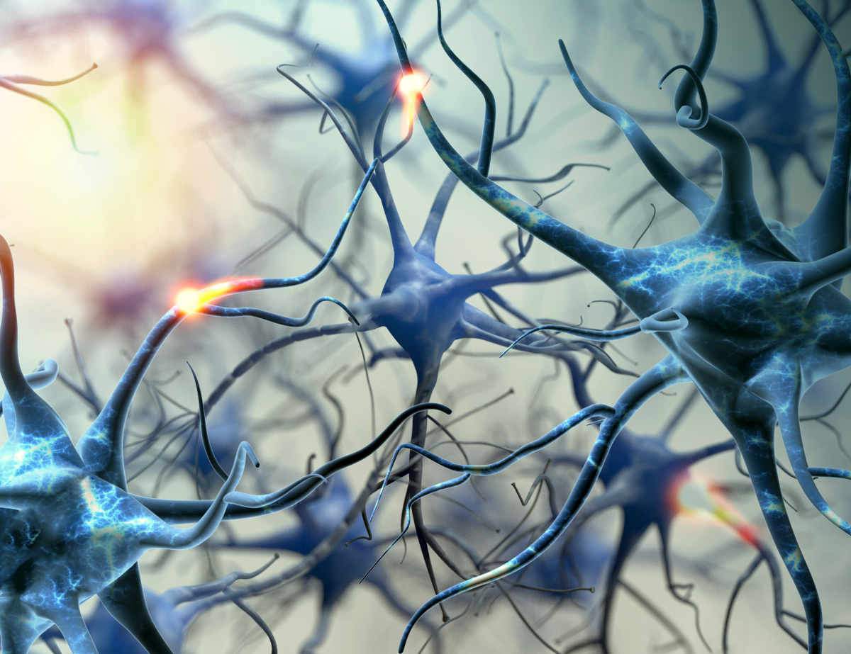 Neurons brain connections | How The Lack of Protein Affects Your Brain and Overall Health