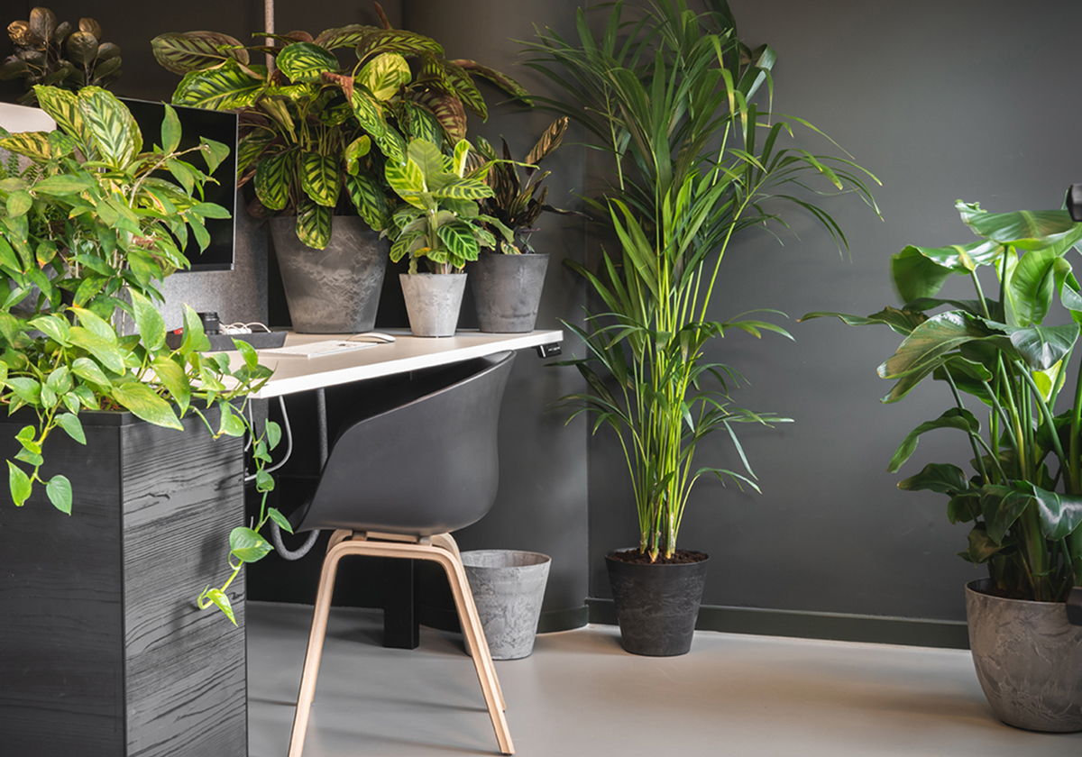 Modern computer desk area with plants in various sizes and colors of Artstone self-watering planters.