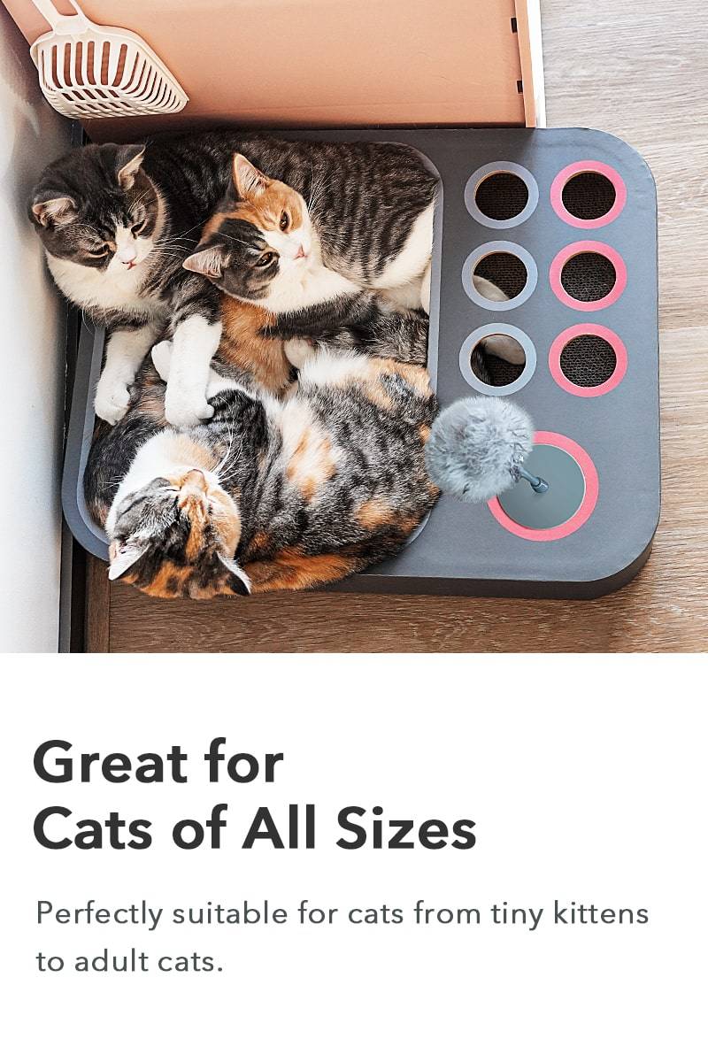 Great for Cats of All Sizes