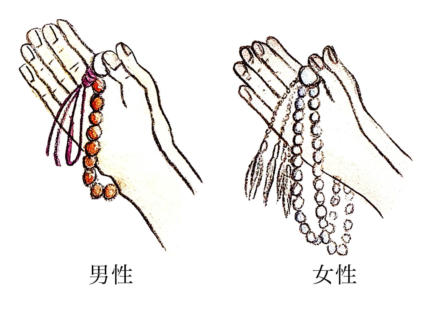 真宗高田派の数珠の持ち方：両手にかけ一番大きな珠を上にして親指で軽く押さえ房は左に垂らす