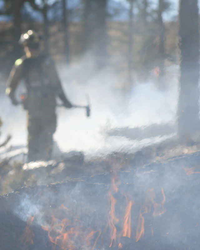two firefighters training