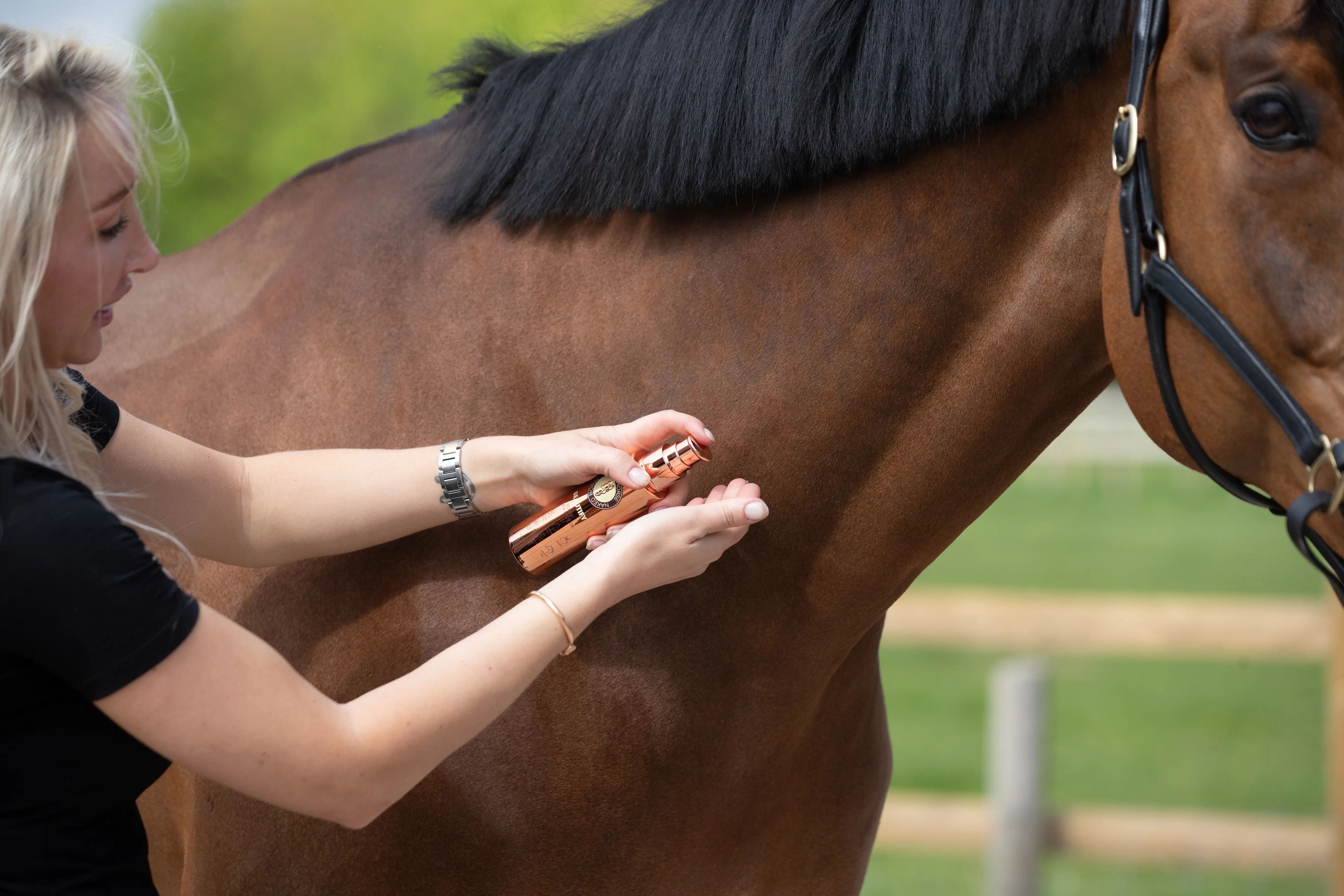 Applying BEAUTIFY to a horse's mane.
