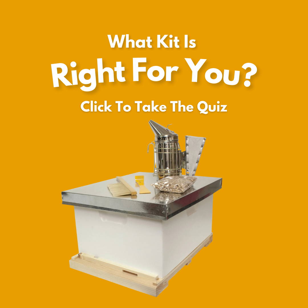 What Beekeeping Kit Is Right For You