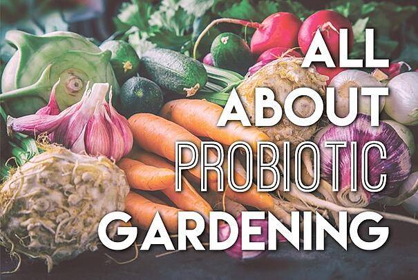All about probiotic gardening