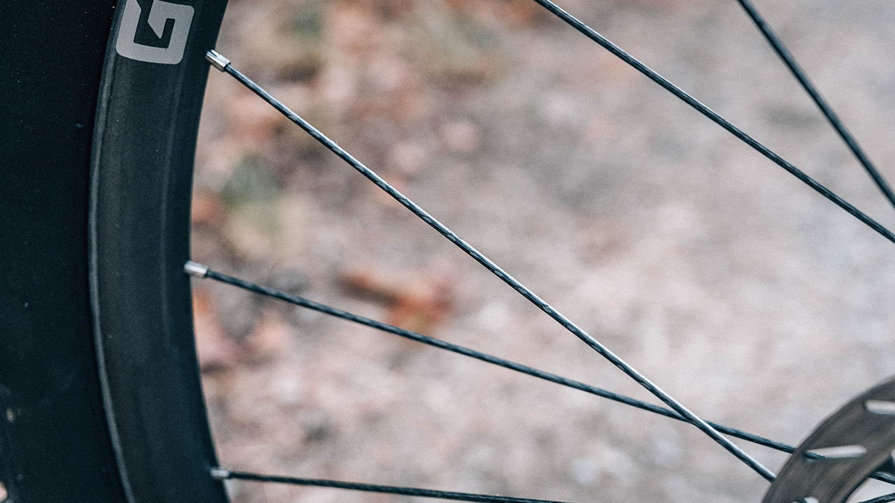Gulo Carbon Spoke Detail 