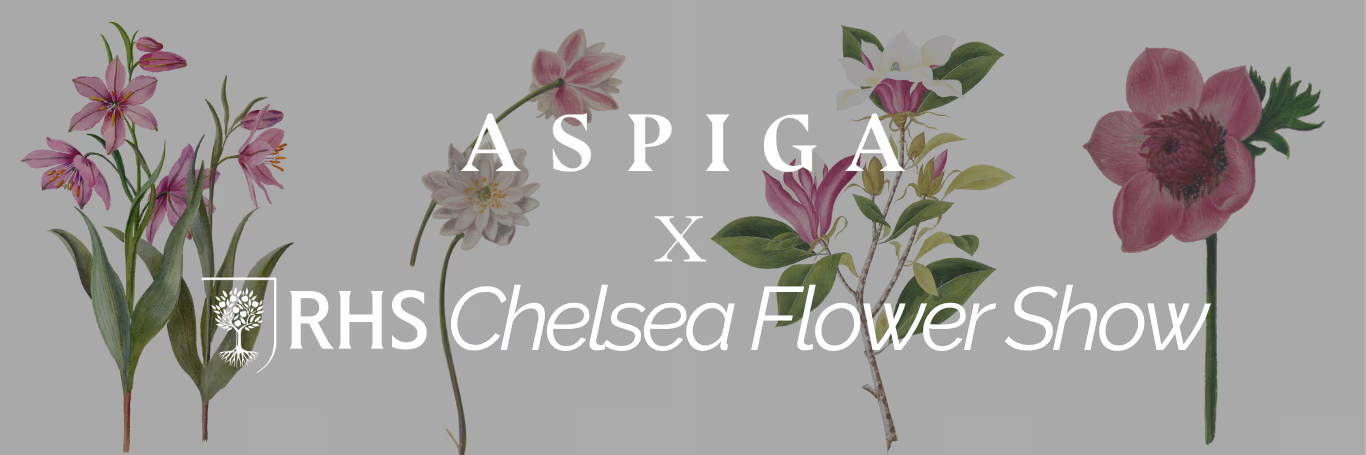 Aspiga x Chelsea Flower Show 2026