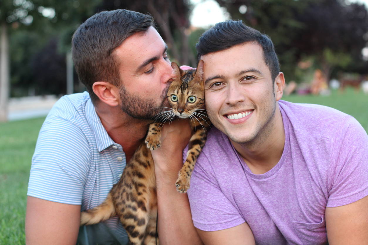 Nibbs Club Healthy Dog and Cat Treats - Positive Mental Health Effects of Pets