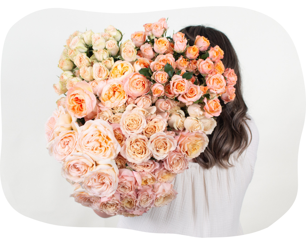 multiple roses
