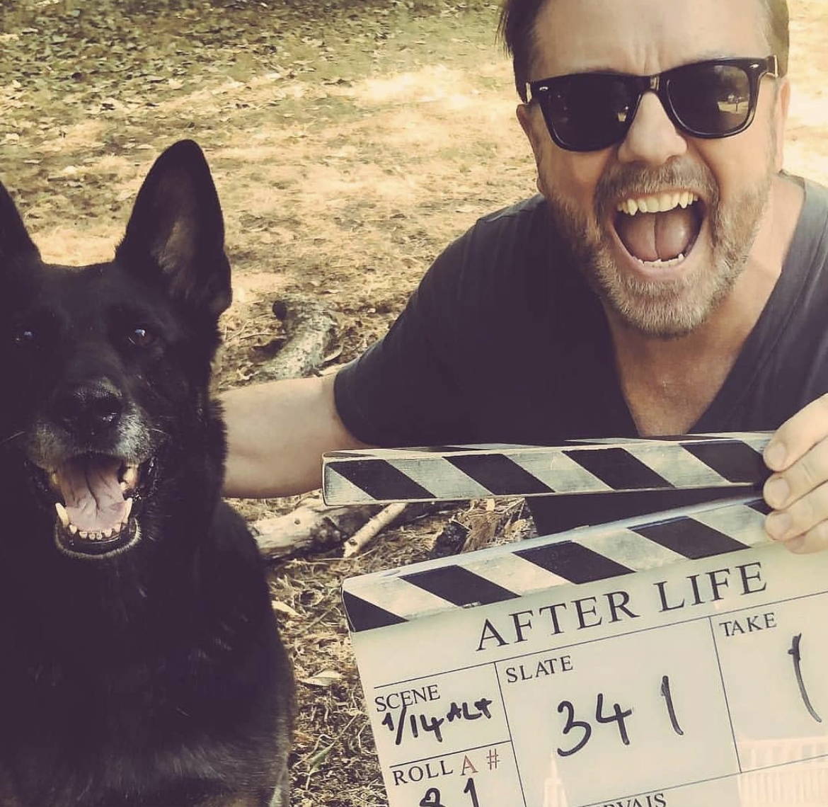 Antilly & Ricky Gervais, After Life, Netflix, Actor, Stunt Dog