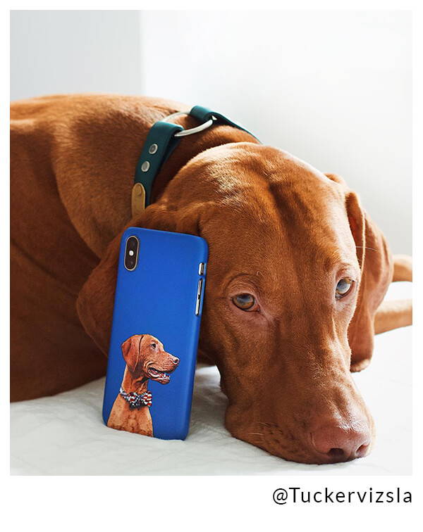 vizsla with custom phone case