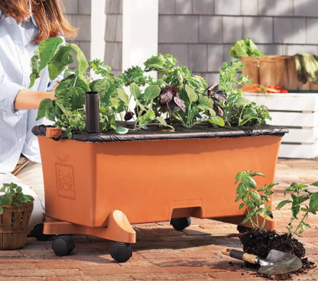 Person planting crops in their EarthBox container gardening system