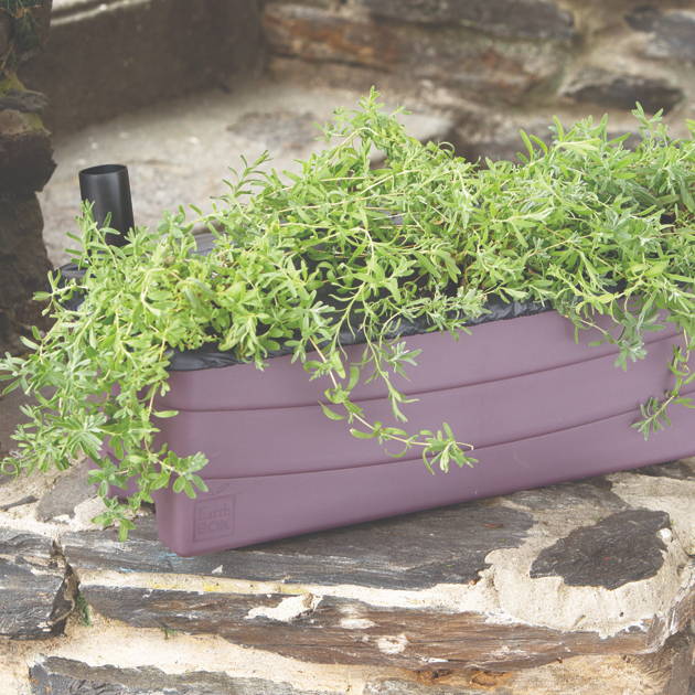 Herbs growing outdoors in a purple EarthBox Junior gardening system