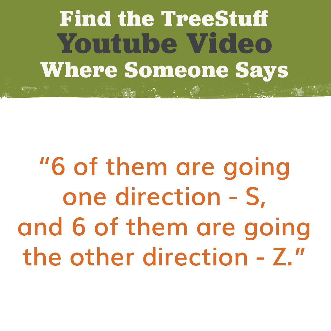 Text discussing directions S and Z from a TreeStuff YouTube video.