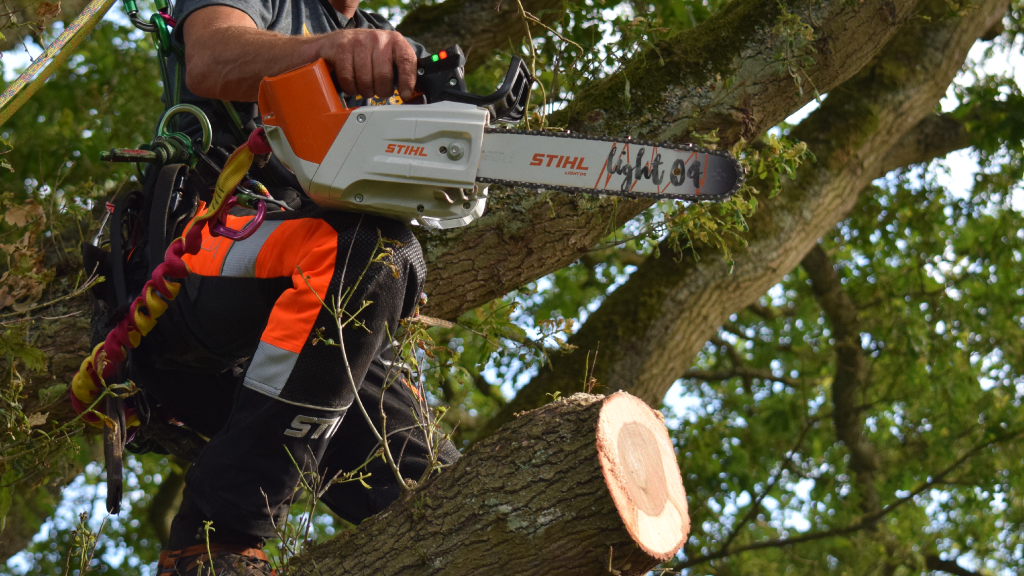 A person using a chainsaw to cut a tree branch.