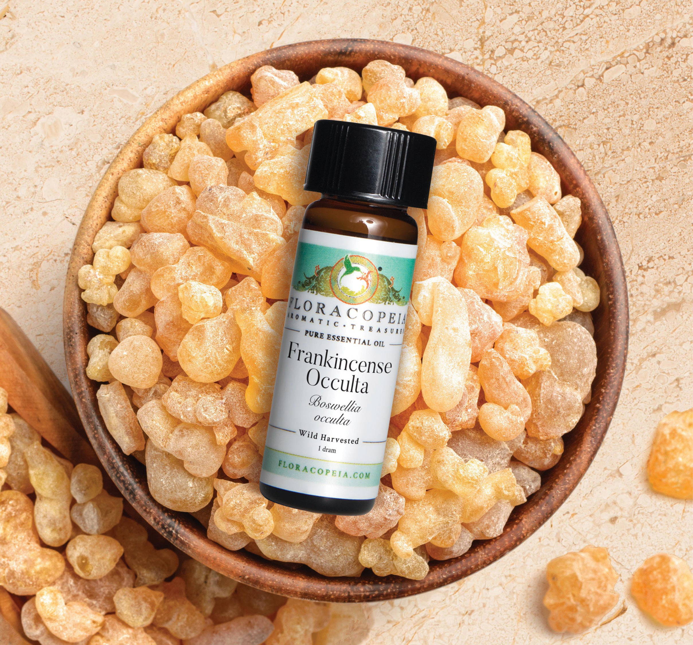 frankincense occulta essential oil in a bowl of resin