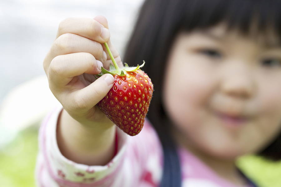 young girl holding up a strawberry