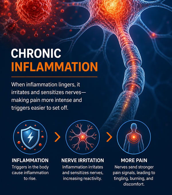 Chronic inflammation affecting nerves and pain sensitivity, with visual elements.