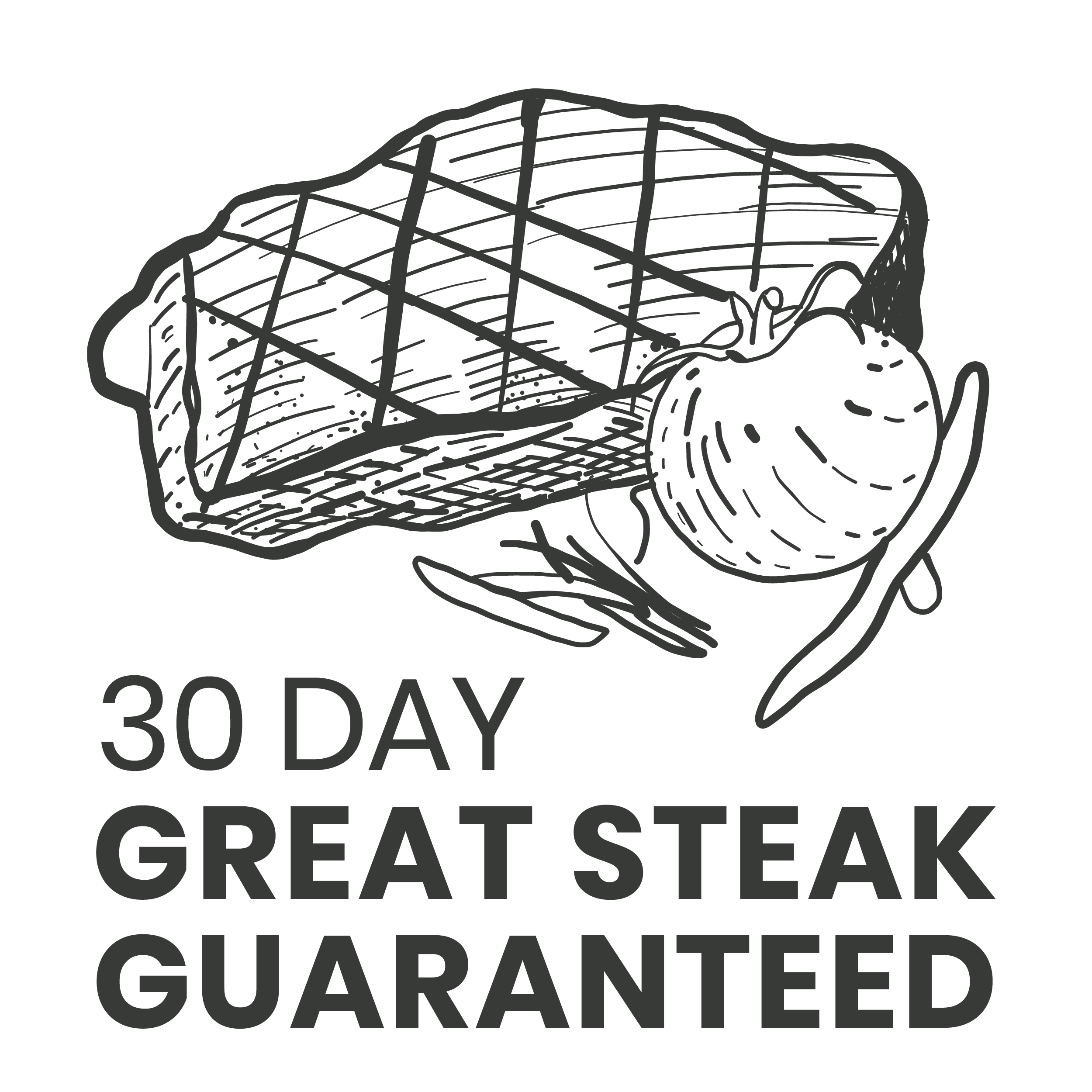 The MeatStick Great Steak Guaranteed