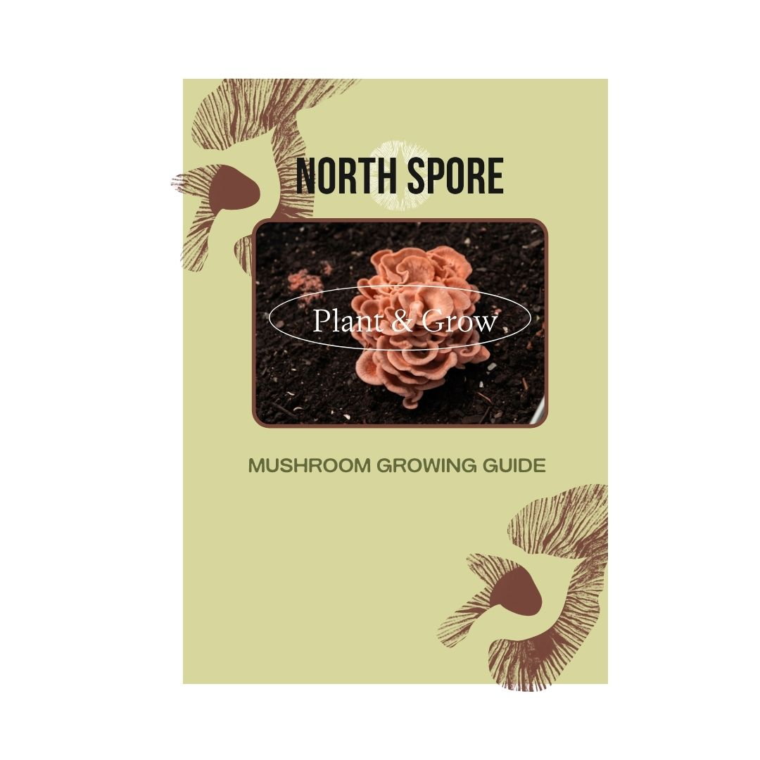Plant & Grow Mushroom Garden Starter Blocks Instructions